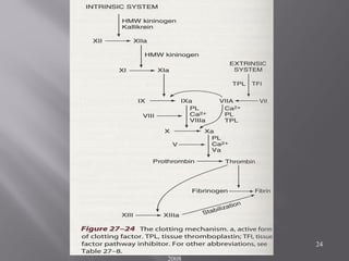2nd Year Physiotherapy- November
2008
24
 