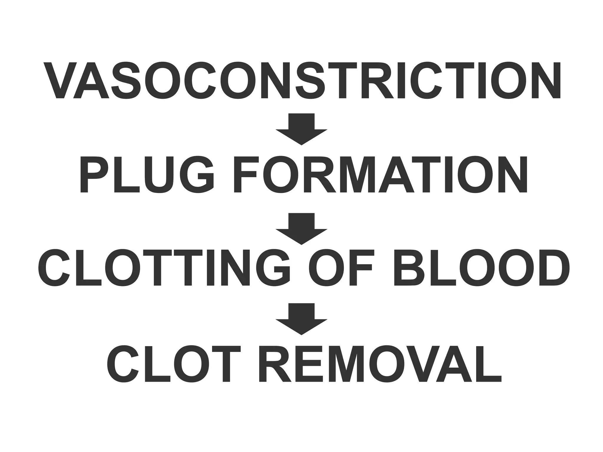 CLOT REMOVAL
VASOCONSTRICTION
PLUG FORMATION
CLOTTING OF BLOOD
 