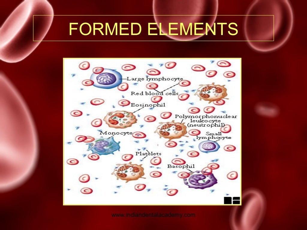 Hemostasis / dental implant courses by Indian dental academy