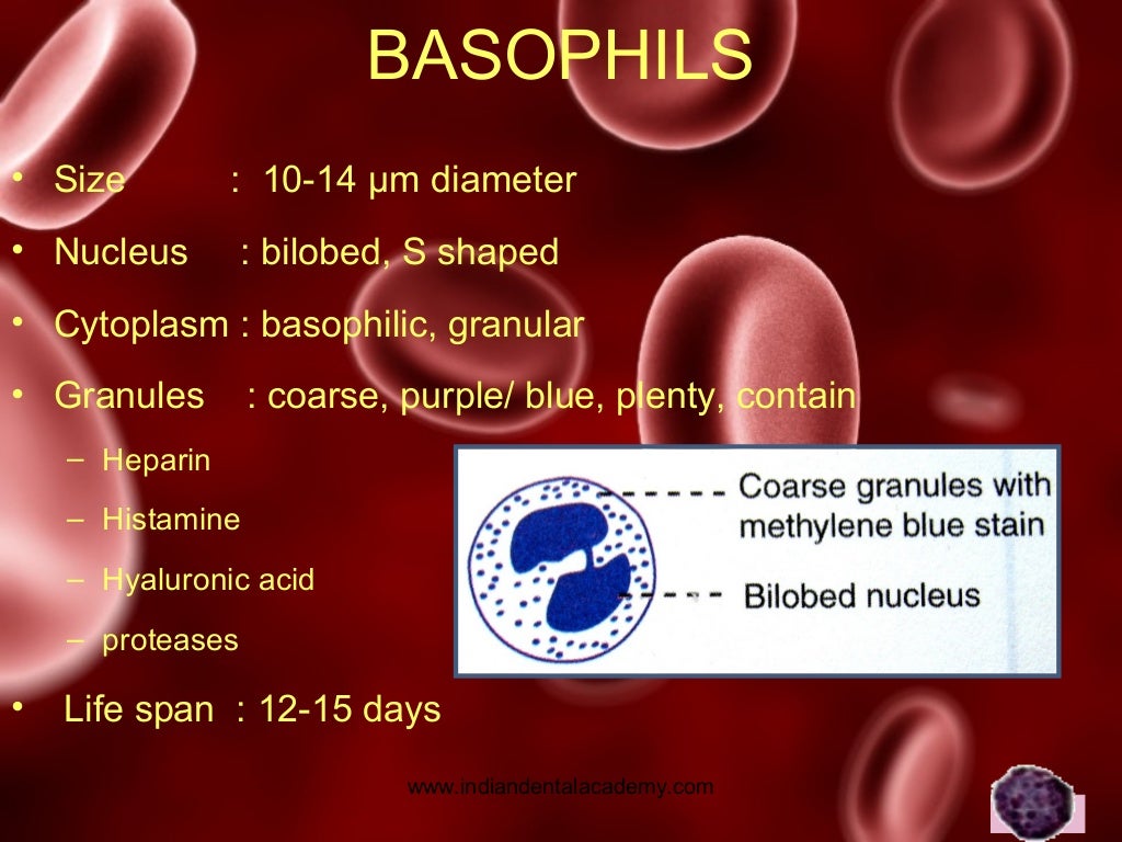 Hemostasis / dental implant courses by Indian dental academy