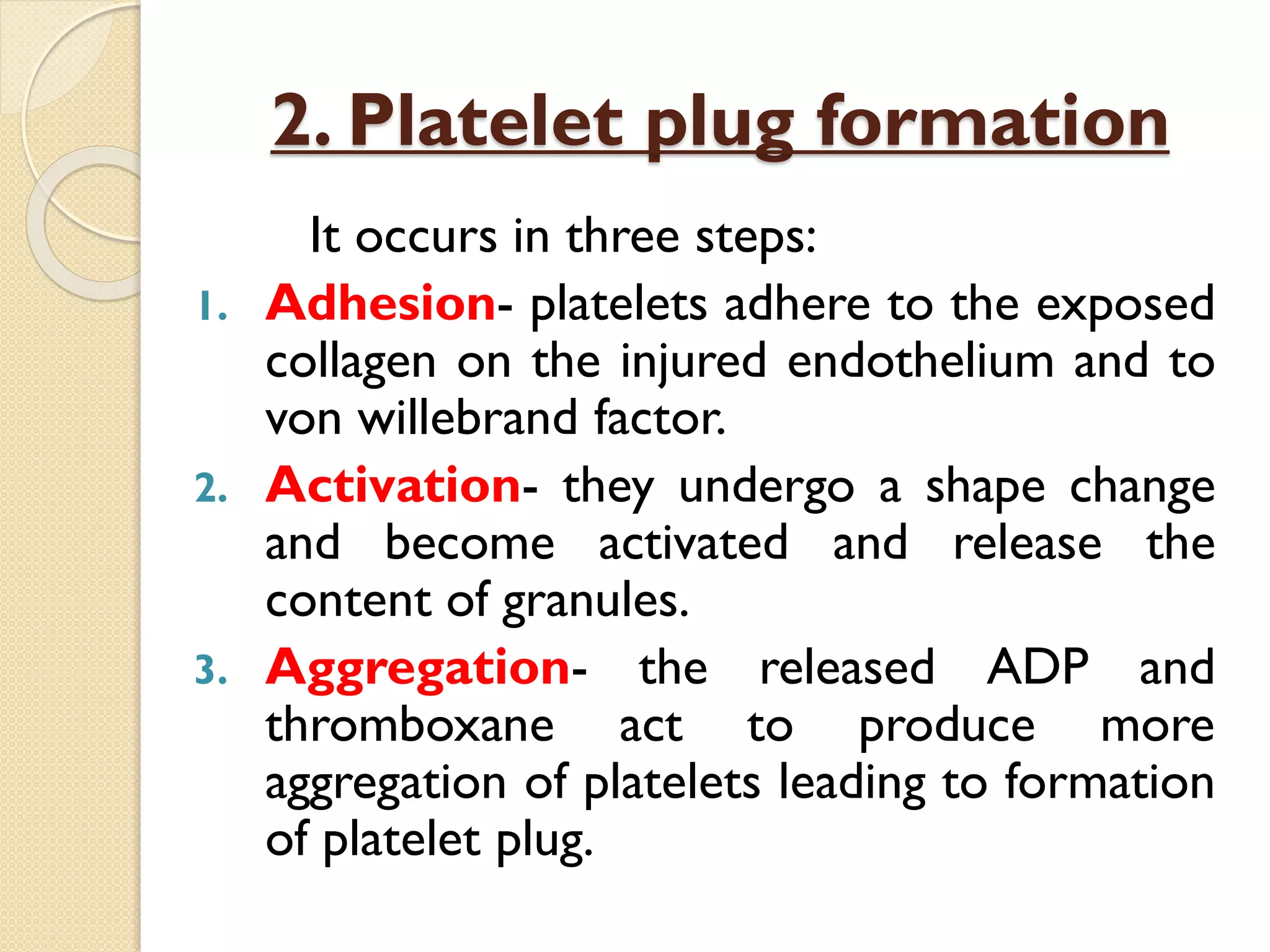 2. Platelet plug formation
It occurs in three steps:
1. Adhesion- platelets adhere to the exposed
collagen on the injured endothelium and to
von willebrand factor.
2. Activation- they undergo a shape change
and become activated and release the
content of granules.
3. Aggregation- the released ADP and
thromboxane act to produce more
aggregation of platelets leading to formation
of platelet plug.
 