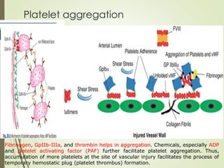 Platelet and physiology of Hemostasis and | PPT