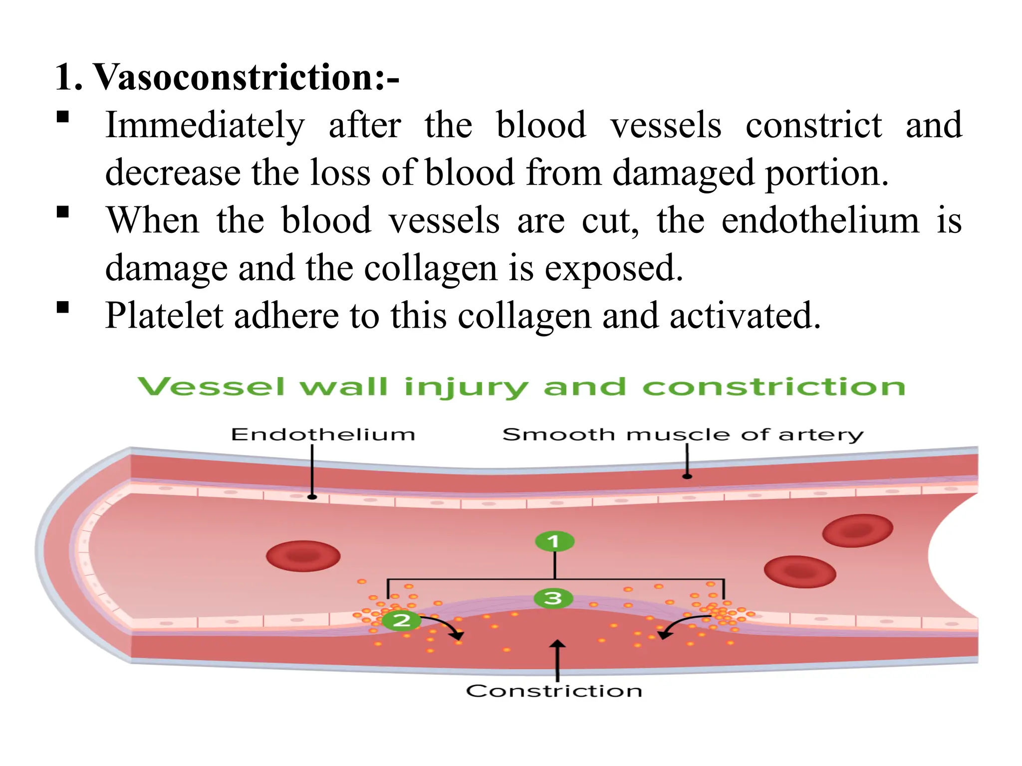 Hemostasis.pptxHemostasis is the biological process that stops bleeding ...