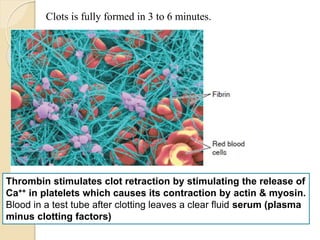 Hemostasis .pptx