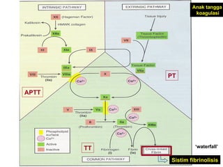 Anak tangga  koagulasi ‘ waterfall’ PT APTT TT Sistim fibrinolisis 