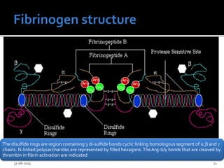 31-08-2015 21
The disulfide rings are region containing 3 di-sulfide bonds cyclic linking homologous segment of , and 
chains. N-linked polysaccharides are represented by filled hexagons.TheArg-Gly bonds that are cleaved by
thrombin in fibrin activation are indicated
 