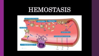 HEMOSTASIS
 