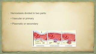Hemorrhagic Syndromes | PPTX
