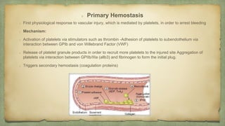 Hemorrhagic Syndromes | PPTX