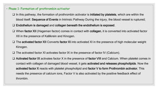 ◦ Phase 1: Formation of prothrombin activator
 In this pathway, the formation of prothrombin activator is initiated by platelets, which are within the
blood itself. Sequence of Events in Intrinsic Pathway During the injury, the blood vessel is ruptured;
 Endothelium is damaged and collagen beneath the endothelium is exposed.
 When factor XII (Hageman factor) comes in contact with collagen, it is converted into activated factor
XII in the presence of Kallikrein and Kinogen.
 The activated factor XII Converts factor XI into activated XI in the presence of high molecular weight
Kinogen.
 The activated factor XI activates factor IX in the presence of factor IV (Calcium).
 Activated factor IX activates factor X in the presence of factor VIII and Calcium. When platelet comes in
contact with collagen of damaged blood vessel, it gets activated and releases phospholipids. Now the
activated factor X reacts with platelet phospholipid and factor V to form Prothrombin activator. This
needs the presence of calcium ions, Factor V is also activated by the positive feedback effect of
thrombin.
 