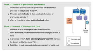 Phase 2: Conversion of prothrombin into thrombin
 Prothrombin activator converts prothrombin into thrombin in
presence of calcium ions (factor IV).
 Thrombin activate Factor V, thus accelerate formation of
prothrombin activator ()
 effect of thrombin is called positive feedback effect.
Phase 3: Conversion of fibrinogen into fibrin
 Thrombin acts on fibrinogen to form fibrin monomers
 Fibrin monomers polymerizes to form loosely arranged strands of
fibrin
 In presence of Ca2+, fibrin – stabilizing factor (Factor VIII) increase
the density and tighten loose Fibrin.
 Tight fibrin threads aggregate to form a meshwork of stable clot.
 