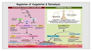 Regulation of Coagulation & fibrinolysis
 