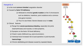 Hemophilia A
 is the most common inherited coagulation disorder
 Caused by factor VIII deficiency
 Attributed to inherited genetic mutation on the X chromosome
such as deletions, insertions, point mutations and a common
intra-gene inversion
 Thus it is sex-linked. Severe disease occur in males
 Clinical features
 Range from severe spontaneous bleeding, especially into joints
(haemarthroses) and muscles, to mild symptoms,
 Symptom on the factor VIII level deficiency
 Onset in early childhood (e.g. post-circumcision).
 Individual have Increased risk of post-operative or post-traumatic
haemorrhage
 Chronic debilitating joint disease caused by repeated bleeds.
 