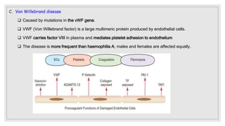 C. Von Willebrand disease
 Caused by mutations in the vWF gene.
 VWF (Von Willebrand factor) is a large multimeric protein produced by endothelial cells.
 VWF carries factor VIII in plasma and mediates platelet adhesion to endothelium
 The disease is more frequent than haemophilia A; males and females are affected equally.
 
