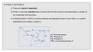  Protein C and Protein S
 These are vitamin K-dependent
 Protein C becomes activated when it reacts with thrombin bound to thrombomodulin, a protein of
the endothelial cell membrane.
 Activated protein C (APC) is a serine protease and degrades factors Va and VIIIa, in a reaction
potentiated by its cofactor, protein S.
 