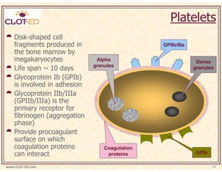 Platelets
    Disk-shaped cell
    fragments produced in                       GPIIb/IIIa
    the bone marrow by
    megakaryocytes             Alpha                          Dense
    Life span ~ 10 days       granules                       granules

    Glycoprotein Ib (GPIb)
    is involved in adhesion
    Glycoprotein IIb/IIIa
    (GPIIb/IIIa) is the
    primary receptor for
    fibrinogen (aggregation
    phase)
    Provide procoagulant
    surface on which
    coagulation proteins          Coagulation
    can interact                   proteins                   GPIb

www.CLOT-ED.com                                                      11
 