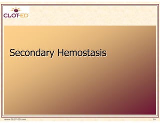 Secondary Hemostasis




www.CLOT-ED.com           16
 