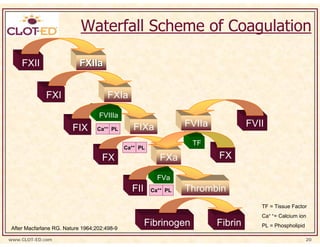 Waterfall Scheme of Coagulation

    FXII                   FXIIa


             FXI                      FXIa
                                  FVIIIa
                        FIX      Ca++ PL        FIXa             FVIIa            FVII
                                                                  TF
                                             Ca++ PL

                                   FX                     FXa            FX

                                                         FVa
                                               FII     Ca++ PL   Thrombin
                                                                                     TF = Tissue Factor
                                                                                     Ca+ += Calcium ion

After Macfarlane RG. Nature 1964;202:498-9
                                                     Fibrinogen          Fibrin      PL = Phospholipid

www.CLOT-ED.com                                                                                          20
 