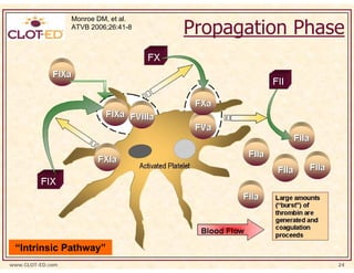 Propagation Phase
                  Monroe DM, et al.
                  ATVB 2006;26:41-8




 “Intrinsic Pathway”
www.CLOT-ED.com                                       24
 