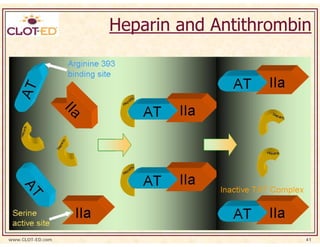 Heparin and Antithrombin




www.CLOT-ED.com                          41
 