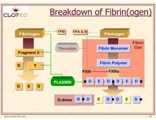 Breakdown of Fibrin(ogen)

                                FPB
                                FPB       FPA & B
                                          FPA & B
          Fibrinogen                                        Fibrinogen

                                                                       Fibrin
                                Thrombin                Fibrin Monomer Clot
                                                        Fibrin Monomer
         Fragment X
         Fragment X

                                                        Fibrin Polymer
                                                        Fibrin Polymer
         D
         D            Y
                      Y
                                               FXIII          FXIIIa

                               PLASMIN              D
                                                    D   E
                                                        E    D
                                                             D    D
                                                                  D      E
                                                                         E   D
                                                                             D
         D
         D        E
                  E       D
                          D


                                D-dimer    D
                                           D     D
                                                 D      E
                                                        E    D
                                                             D    D
                                                                  D      E
                                                                         E   D
                                                                             D



www.CLOT-ED.com                                                                  52
 