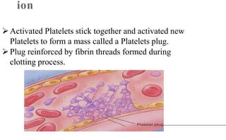 Hemostasis rajiv kumar | PPT