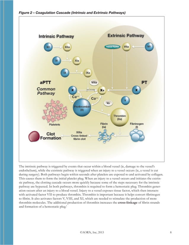 Management of Surgical Hemostasis An Independent Study Guide