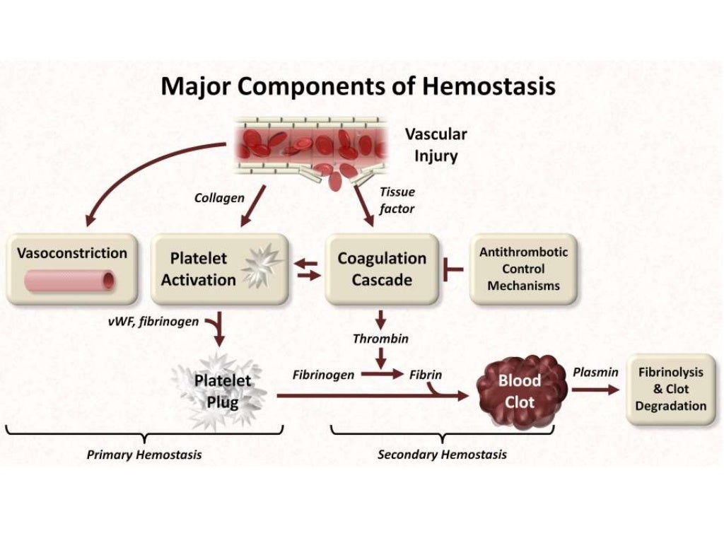 Hemostatic agents project