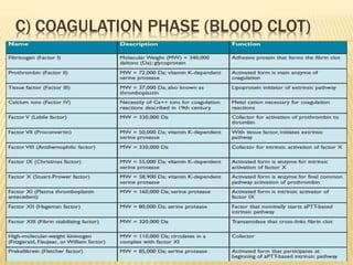 C) COAGULATION PHASE (BLOOD CLOT) 
 