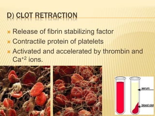 D) CLOT RETRACTION 
 Release of fibrin stabilizing factor 
 Contractile protein of platelets 
 Activated and accelerated by thrombin and 
Ca+2 ions. 
 