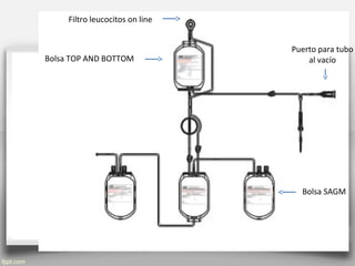 Filtro leucocitos on line
Bolsa TOP AND BOTTOM
Puerto para tubo
al vacío
Bolsa SAGM
 