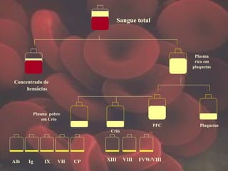 Concentrado de
hemácias
Crio
Sangue total
PFC Plaquetas
Plasma
rico em
plaquetas
Plasma pobre
em Crio
XIII VIII FVW/VIIIAlb Ig IX VII CP
 