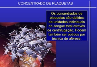 CONCENTRADO DE PLAQUETAS
Os concentrados de
plaquetas são obtidos
de unidades individuais
de sangue total através
de centrifugação. Podem
também ser obtidos por
técnica de aférese.
 