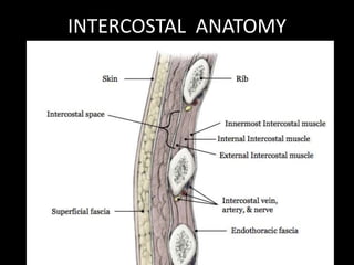 INTERCOSTAL ANATOMY
 