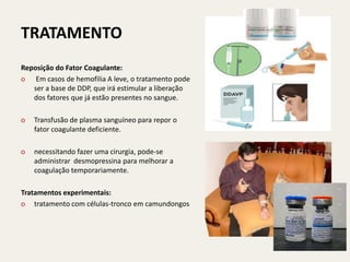 TRATAMENTO
Reposição do Fator Coagulante:
o Em casos de hemofilia A leve, o tratamento pode
   ser a base de DDP, que irá estimular a liberação
   dos fatores que já estão presentes no sangue.

o   Transfusão de plasma sanguíneo para repor o
    fator coagulante deficiente.

o   necessitando fazer uma cirurgia, pode-se
    administrar desmopressina para melhorar a
    coagulação temporariamente.

Tratamentos experimentais:
o tratamento com células-tronco em camundongos
 
