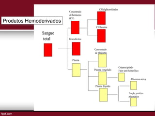 Sangue
total
Concentrado
de hemáceas
(CH)
Granulócitos
Plasma
CH diglicerolizadas
CH lavadas
Concentrado
de plaquetas
Plasma congelado
Plasma Líquido
Crioprecipitado
Fator anti-hemofílico
Albumina sérica
Fração protéica
plasmática
Produtos Hemoderivados
 