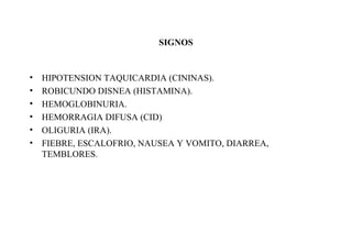SIGNOS 
• HIPOTENSION TAQUICARDIA (CININAS). 
• ROBICUNDO DISNEA (HISTAMINA). 
• HEMOGLOBINURIA. 
• HEMORRAGIA DIFUSA (CID) 
• OLIGURIA (IRA). 
• FIEBRE, ESCALOFRIO, NAUSEA Y VOMITO, DIARREA, 
TEMBLORES. 
 
