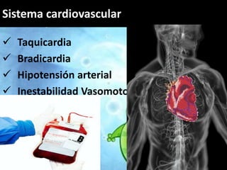 Sistema cardiovascular 
Complicaciones 
 Taquicardia 
 Bradicardia 
 Hipotensión arterial 
 Inestabilidad Vasomotora 
 