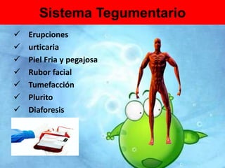 Sistema Tegumentario 
 Erupciones 
 urticaria 
 Piel Fria y pegajosa 
 Rubor facial 
 Tumefacción 
 Plurito 
 Diaforesis 
 