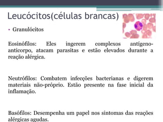 Leucócitos(células brancas)
• Granulócitos
Eosinófilos: Eles ingerem complexos antígeno-
anticorpo, atacam parasitas e estão elevados durante a
reação alérgica.
Neutrófilos: Combatem infecções bacterianas e digerem
materiais não-próprio. Estão presente na fase inicial da
inflamação.
Basófilos: Desempenha um papel nos sintomas das reações
alérgicas agudas.
 