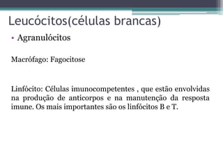 Leucócitos(células brancas)
• Agranulócitos
Macrófago: Fagocitose
Linfócito: Células imunocompetentes , que estão envolvidas
na produção de anticorpos e na manutenção da resposta
imune. Os mais importantes são os linfócitos B e T.
 
