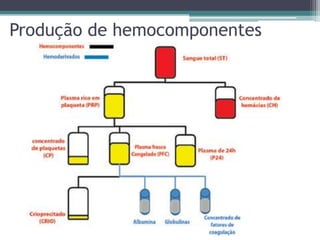 Produção de hemocomponentes
 