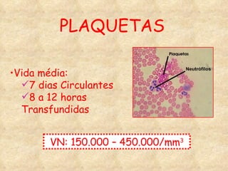 PLAQUETAS Vida média: 7 dias Circulantes 8 a 12 horas Transfundidas VN: 150.000 – 450.000/mm 3 