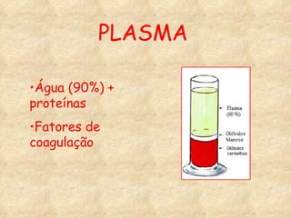 PLASMA Água (90%) + proteínas Fatores de coagulação 