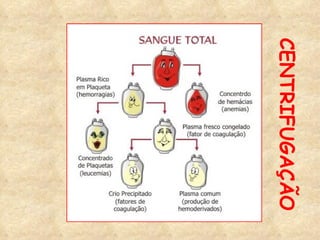 CENTRIFUGAÇÃO 