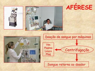 AFÉRESE Doação de sangue por máquinas Sangue retorna ao doador Centrifugação Hm Plasma Leuco Plaq 