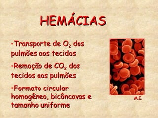 HEMÁCIAS Transporte de O 2  dos pulmões aos tecidos Remoção de CO 2  dos tecidos aos pulmões Formato circular homogêneo, bicôncavas e tamanho uniforme M.E. 