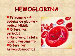 HEMOGLOBINA Tetrâmero – 4 cadeias de globina + radical HEME Difere nos períodos embrionário, fetal e  após o nascimento Difere nas hemoglobinopatias 