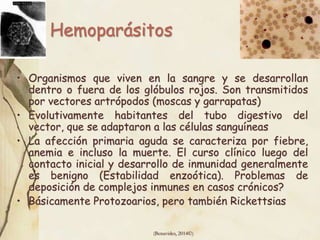 (Benavides, 2014©)
• Organismos que viven en la sangre y se desarrollan
dentro o fuera de los glóbulos rojos. Son transmitidos
por vectores artrópodos (moscas y garrapatas)
• Evolutivamente habitantes del tubo digestivo del
vector, que se adaptaron a las células sanguíneas
• La afección primaria aguda se caracteriza por fiebre,
anemia e incluso la muerte. El curso clínico luego del
contacto inicial y desarrollo de inmunidad generalmente
es benigno (Estabilidad enzoótica). Problemas de
deposición de complejos inmunes en casos crónicos?
• Básicamente Protozoarios, pero también Rickettsias
Hemoparásitos
 