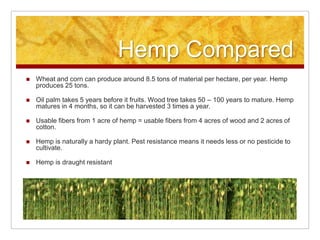 Hemp Compared
   Wheat and corn can produce around 8.5 tons of material per hectare, per year. Hemp
    produces 25 tons.

   Oil palm takes 5 years before it fruits. Wood tree takes 50 – 100 years to mature. Hemp
    matures in 4 months, so it can be harvested 3 times a year.

   Usable fibers from 1 acre of hemp = usable fibers from 4 acres of wood and 2 acres of
    cotton.

   Hemp is naturally a hardy plant. Pest resistance means it needs less or no pesticide to
    cultivate.

   Hemp is draught resistant
 